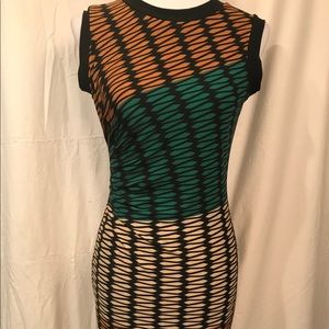 Julian Taylor New York Fitted Dress